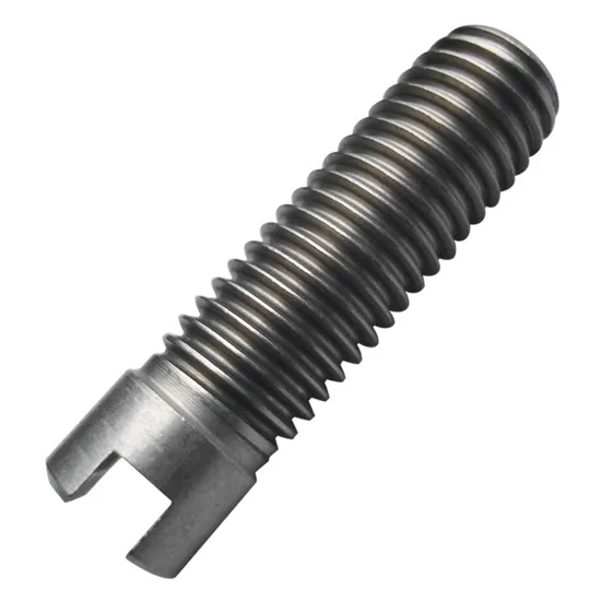 High Quality Pure Titanium Screw No. 3 