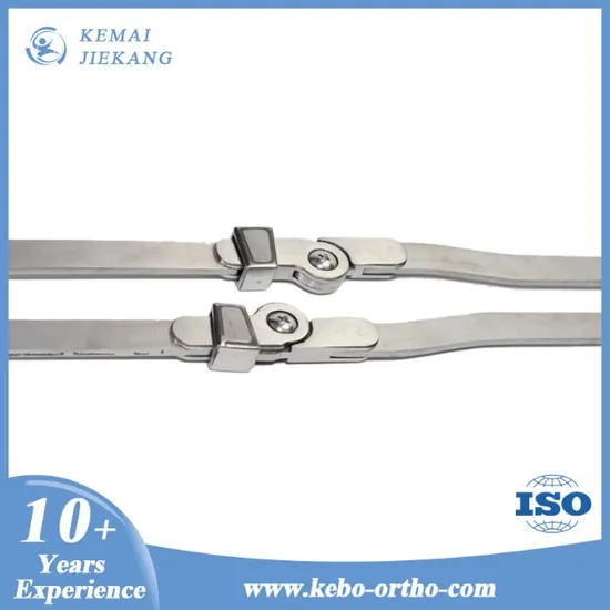 Durable Stainless Steel Drop Ring Lockbar for Secure Fastening 