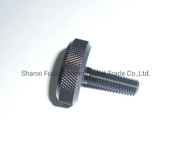 Best Quality Steel Oxidize Black Lock Screw 