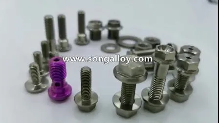 Motorcycle/Bicycle Titanium Alloy Screws for Connector Customized 